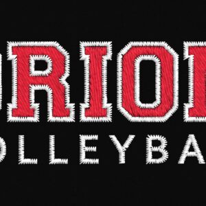 Orion Volleyball Text Logo