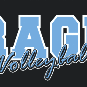 Rage Volleyball dig the rage