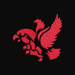 City High Flying Hawk